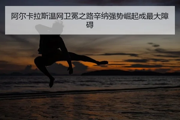 a-er-ka-la-si-wen-wang-wei-mian-zhi-lu-xin-na-qiang-shi-jue-qi-cheng-zui-da-zhang-ai-2-907.jpg